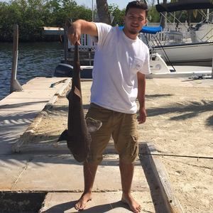 Meet your Posher, Bryce